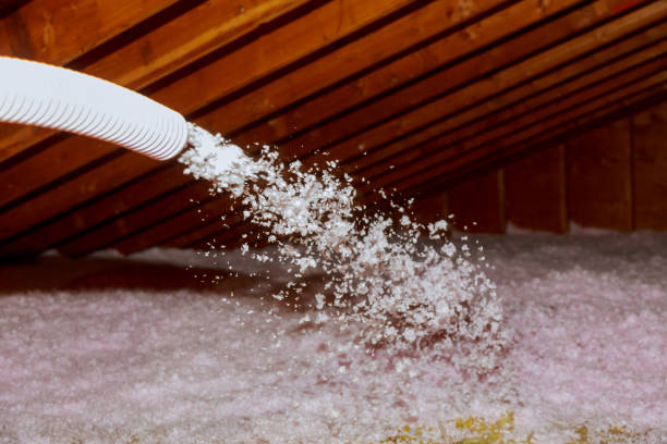 Best Residential Insulation in De Graff, OH
